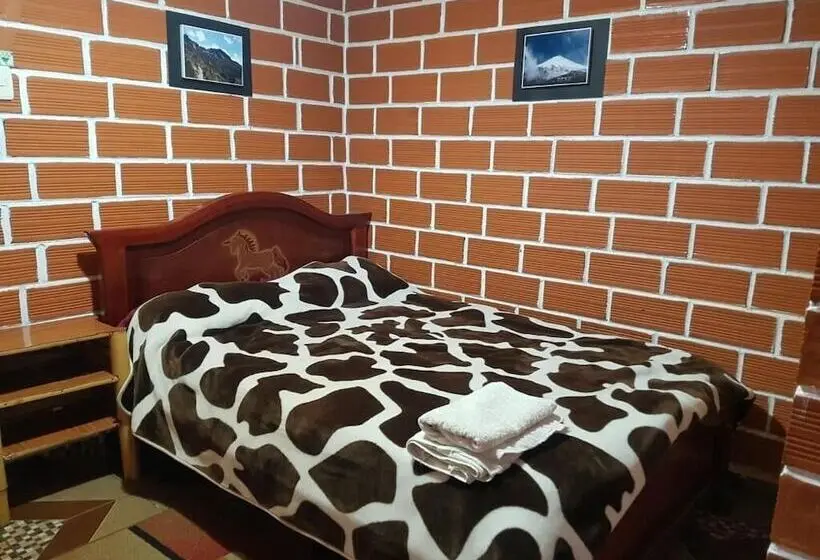 اتاق استاندارد, Hostal Adventure Climbers