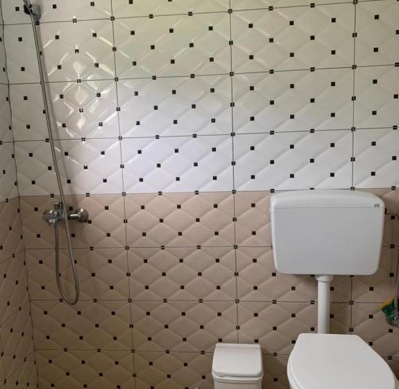 اتاق استاندارد چهارنفره با بالکن, Denaj House