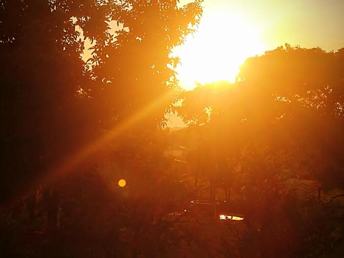 اتاق لوکس با بالکن, Pouso Divino Dos Pireneus