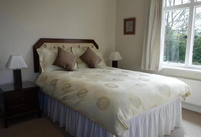 デラックスルーム, Hatsue Guest House