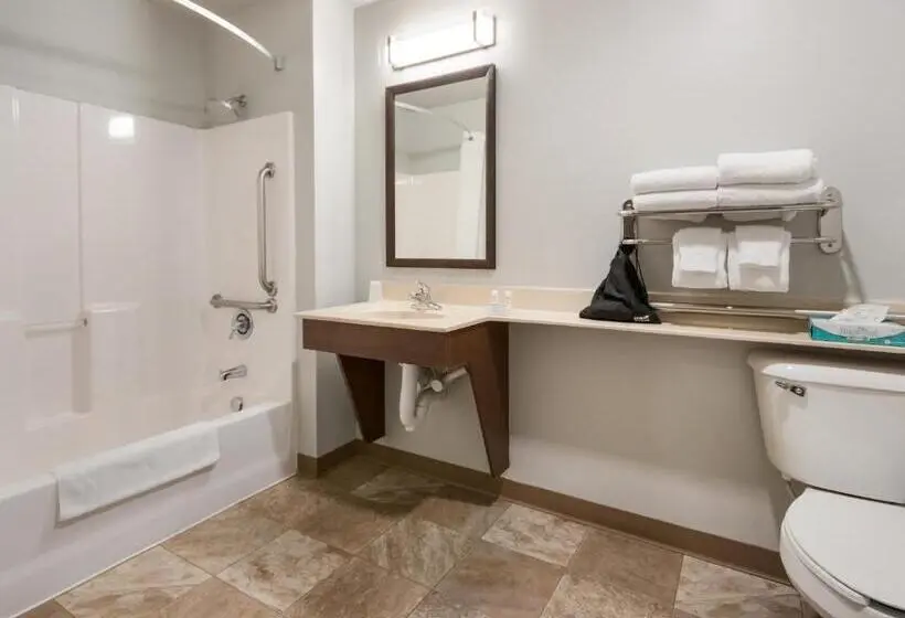 身障者適用スタンダードルーム, My Place Hotel Overland Park, Ks