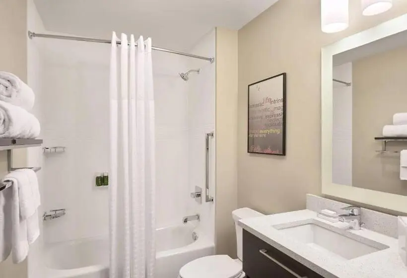 シティビューのスタンダードスタジオ, Towneplace Suites By Marriott Medicine Hat