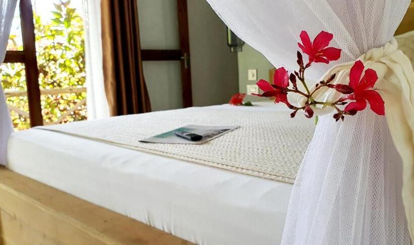 Номер Deluxe, Arya Boutique Resort