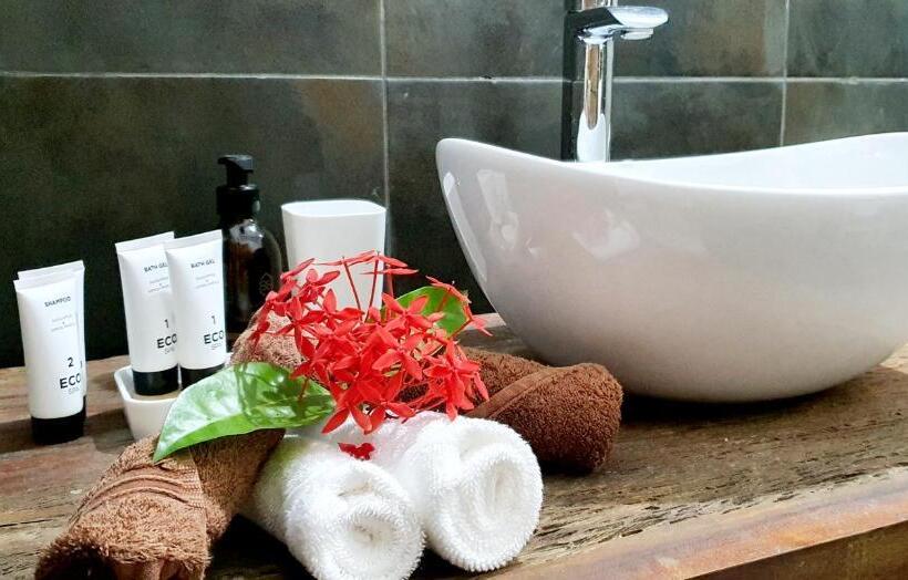 Номер Deluxe, Arya Boutique Resort