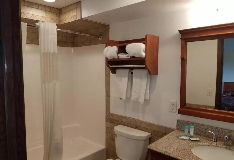 اتاق استاندارد با تخت بزرگ, Black Hawk Motel & Suites