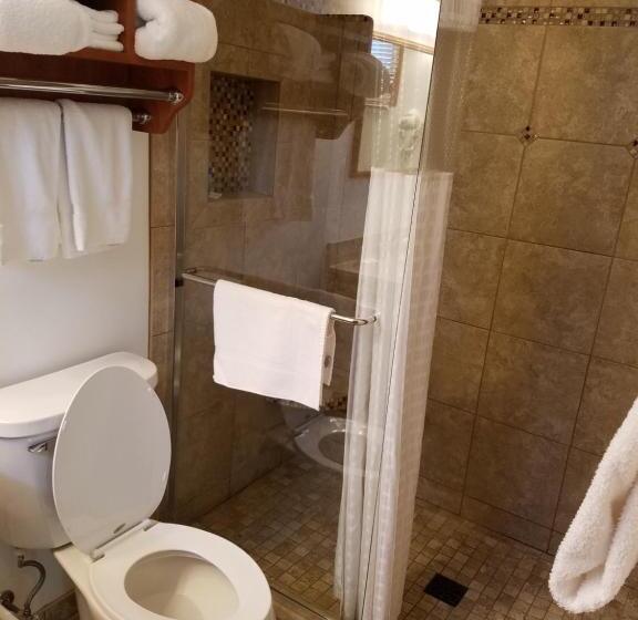 带大床的标准间, Black Hawk Motel & Suites