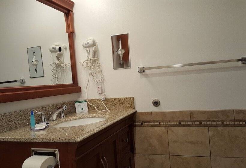 带特大床的标准间, Black Hawk Motel & Suites