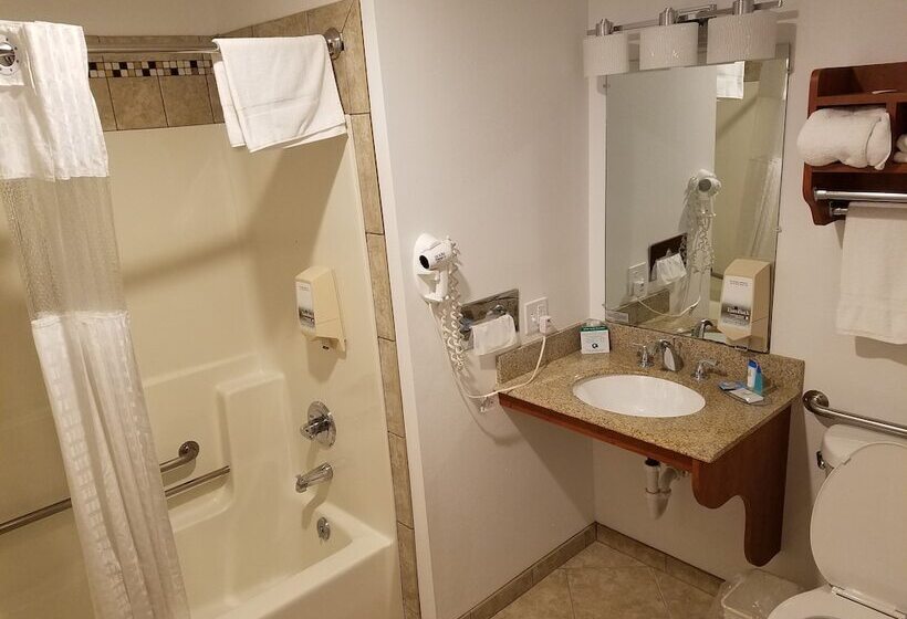 חדר סטנדרט עם מיטת קינג, Black Hawk Motel & Suites