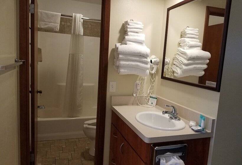 חדר סטנדרט עם מיטת קווין, Black Hawk Motel & Suites