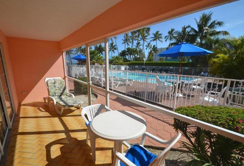 Апартаменты 1 Спальня Вид на Бассейн, Breezy Palms Resort