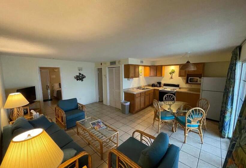 شقة غرفة واحدة مطلة على حمام السباحة, Breezy Palms Resort