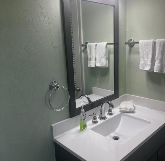 Студия Стандарт, Breezy Palms Resort