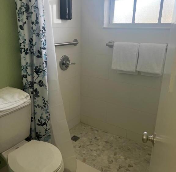 إستوديو قياسى, Breezy Palms Resort