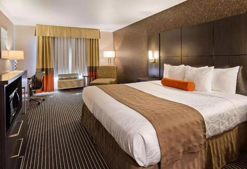 اتاق استاندارد با تخت بزرگ, Best Western Plus Rama Inn & Suites