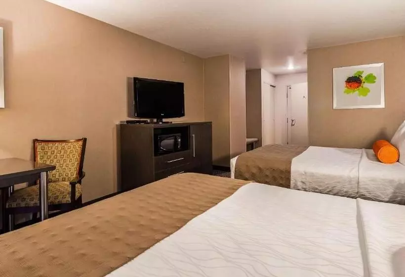 اتاق استاندارد, Best Western Plus Rama Inn & Suites