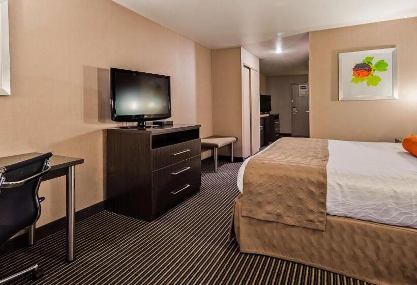 מיטת קינג בסוויטה, Best Western Plus Rama Inn & Suites