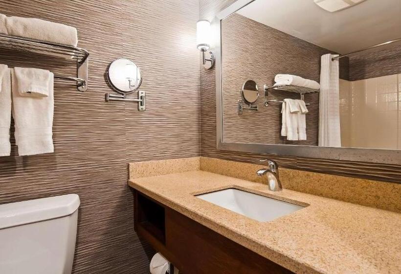Номер Стандарт Кровать Кинг Адаптированный для Инвалидов, Best Western Plus Rama Inn & Suites