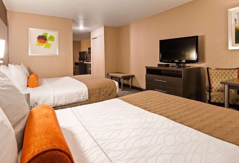 סוויטה, Best Western Plus Rama Inn & Suites