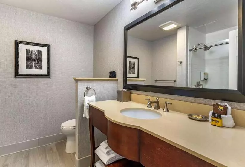 اتاق استاندارد با 2 تخت دوبل, Best Western Plus Stevenson Manor