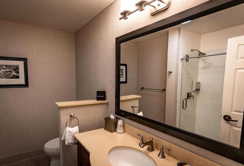 Номер Стандарт с Балконом, Best Western Plus Stevenson Manor