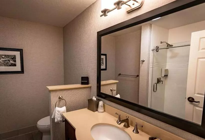اتاق استاندارد با بالکن, Best Western Plus Stevenson Manor