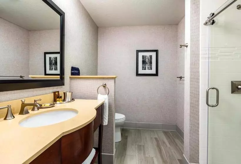 اتاق استاندارد با تخت بزرگ, Best Western Plus Stevenson Manor