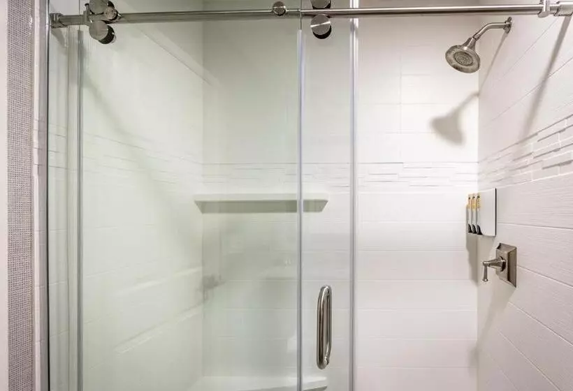 اتاق استاندارد با تخت بزرگ, Best Western Plus Stevenson Manor