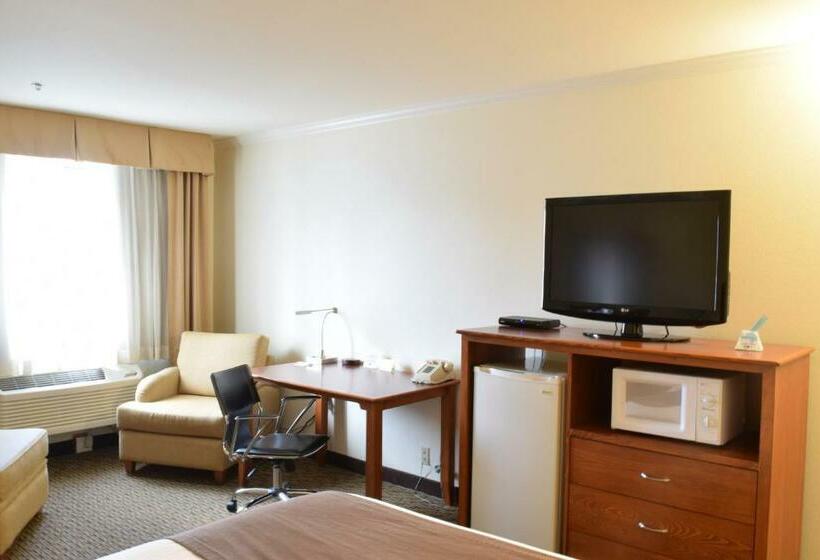 غرفة قياسية, Best Western Tumwater Olympia Inn