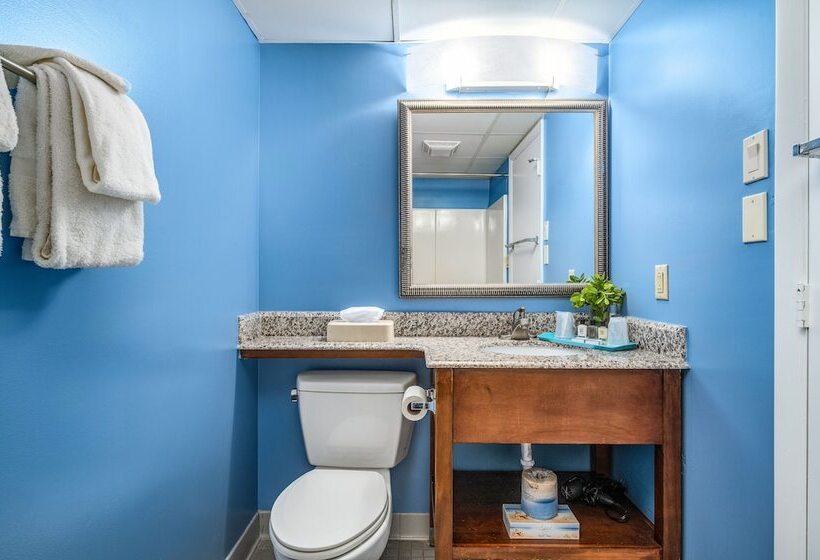 سوئیت با تخت بزرگ, Cayman Suites