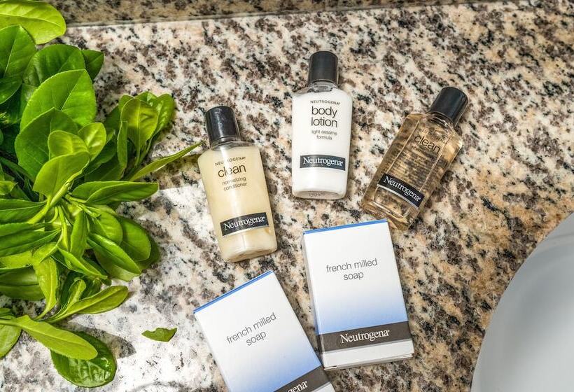 سوئیت با تخت بزرگ, Cayman Suites