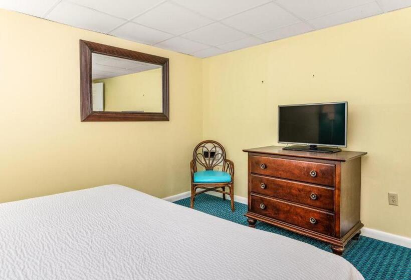 سوئیت با تخت بزرگ, Cayman Suites