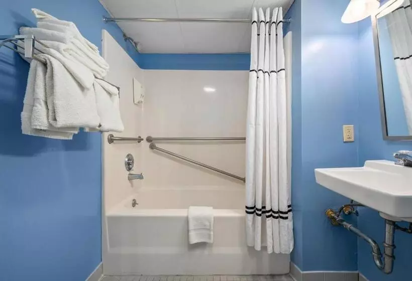 スタンダードスタジオ, Cayman Suites