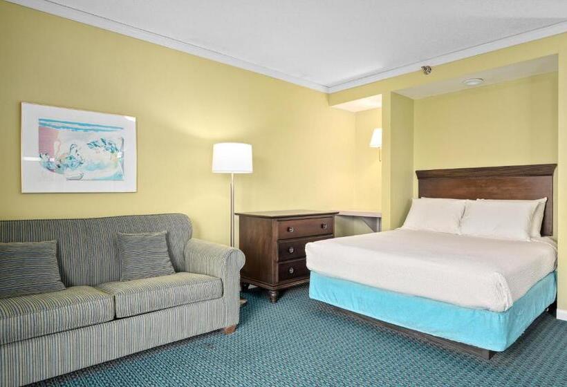 استودیوی استاندارد, Cayman Suites
