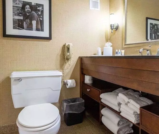 スイート, Comfort Inn & Suites Baltimore Inner Harbor