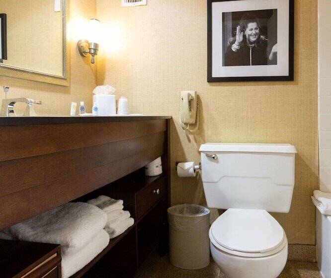 סוויטה, Comfort Inn & Suites Baltimore Inner Harbor