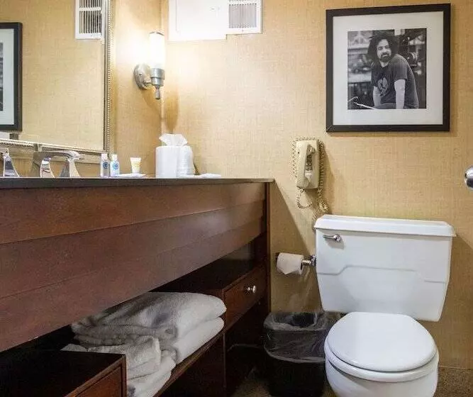 景色の見えるスイートルーム, Comfort Inn & Suites Baltimore Inner Harbor