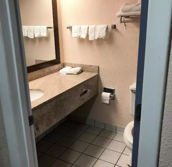 اتاق استاندارد با تخت بزرگ, Days Inn By Wyndham Panama City