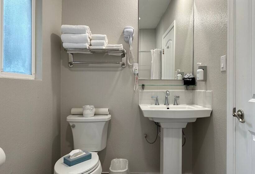 带2个双人床的标准工作室, Bluebird Inn