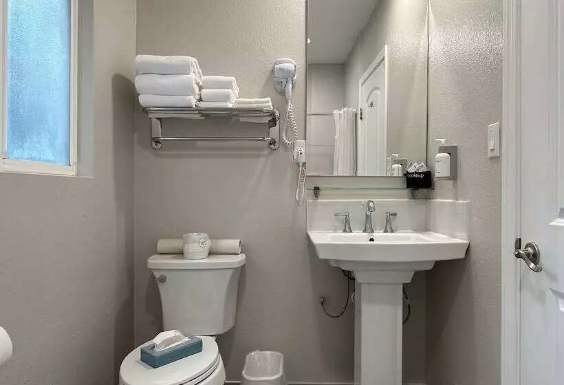 اتاق استاندارد با 2 تخت دوبل, Bluebird Inn