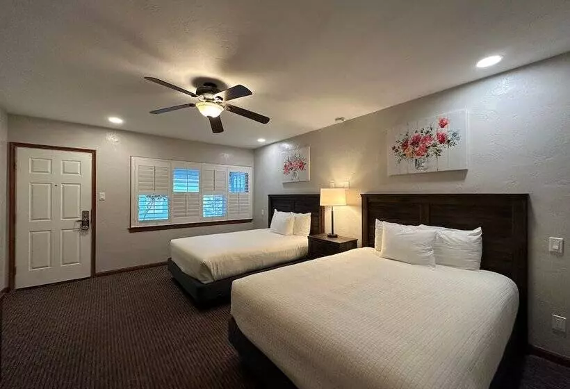 اتاق استاندارد با 2 تخت دوبل, Bluebird Inn