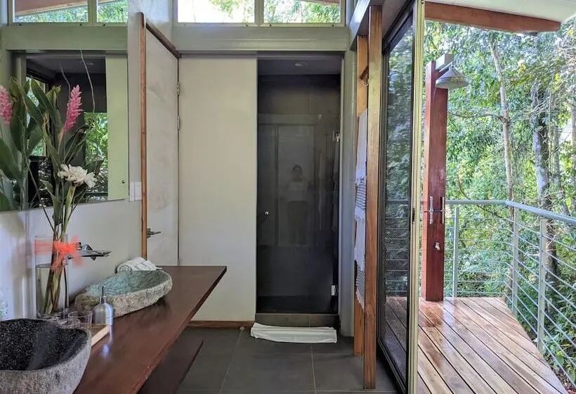 スイート, Cielo Lodge