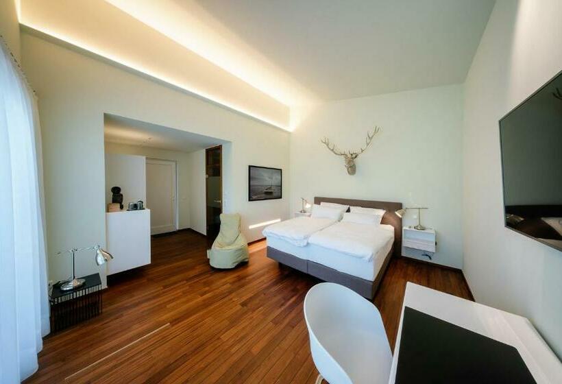 Номер Стандарт Вид на Озеро, Motelplushotel Biggeseefront