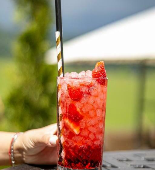 غرفة قياسية, Alpine Castle