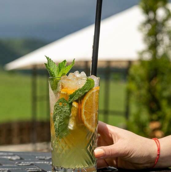 غرفة ديلوكس, Alpine Castle