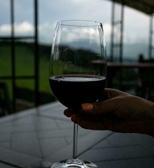 جناح مطلّ علي الجبل, Alpine Castle