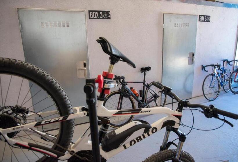 جناح مطلّ علي الجبل, Ciclolodge