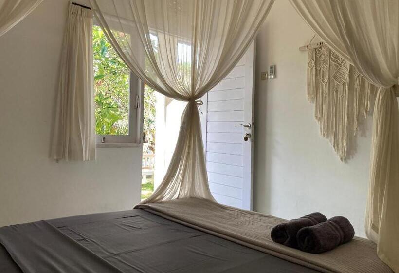 Chambre Standard, Rebels Point