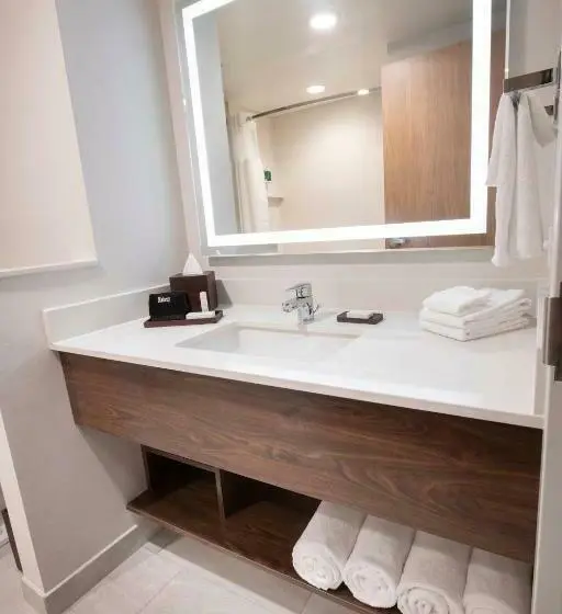 سوئیت با تخت بزرگ, Fairfield By Marriott Edmonton International Airport
