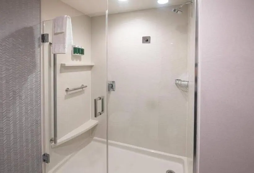 اتاق استاندارد با تخت بزرگ, Fairfield By Marriott Edmonton International Airport