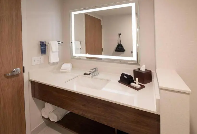 اتاق استاندارد با تخت بزرگ, Fairfield By Marriott Edmonton International Airport